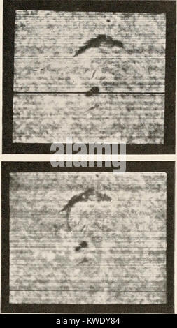 'The Adolfo Stahl lectures in astronomy, delivered in San Francisco, California, in 1916-17 and 1917-18, under the auspices of the Astronomical Society of the Pacific' (1919) Stock Photo