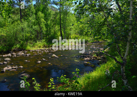 Summer landscape of the river, blue sky with clouds, reflections in the water, woods and stones. Stock Photo