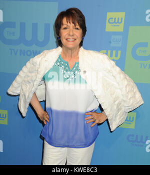 NEW YORK, NY - MAY 15: Ivonne Coll attends The CW Network's 2014 Upfront at The London Hotel on May 15, 2014 in New York City.   People:  Ivonne Coll Stock Photo