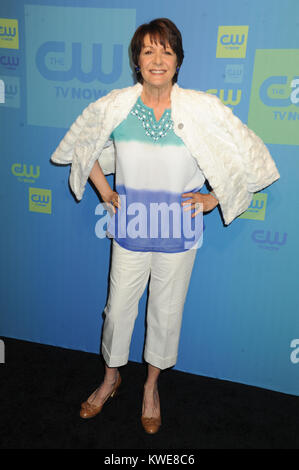 NEW YORK, NY - MAY 15: Ivonne Coll attends The CW Network's 2014 Upfront at The London Hotel on May 15, 2014 in New York City.   People:  Ivonne Coll Stock Photo