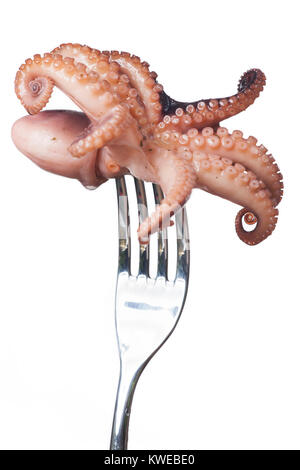 squid on a fork on white background Stock Photo