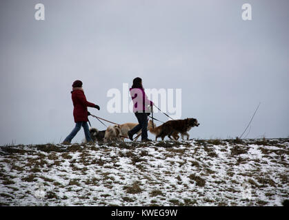 Dog walkers silhouetted on ridge on Fraser River dyke, British Columbia Stock Photo