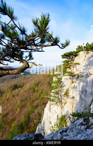 Weissenbach an der Triesting: view from mount mountain Peilstein, rocks, Wienerwald, Vienna Woods, Niederösterreich, Lower Austria, Austria Stock Photo