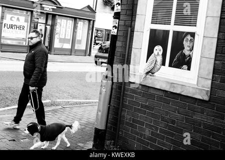 Man walking dog, walks past a painted mural of Harry Potter and his owl looking out of window in Knaresborough, North Yorkshire, United Kingdom. Stock Photo