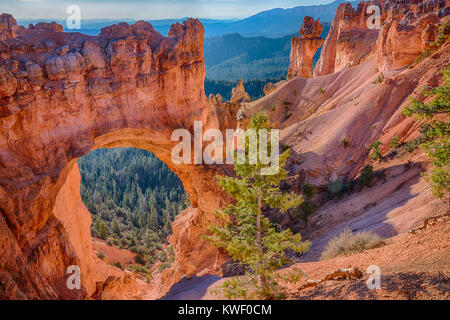 Natural Arch in Bryce Canyon National Parks, Utah Stock Photo