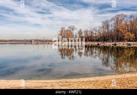 Fallen dead trees around a lake. Stock Photo