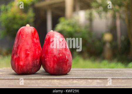 Two Jambu Guava on Wood Ground in Garden Stock Photo
