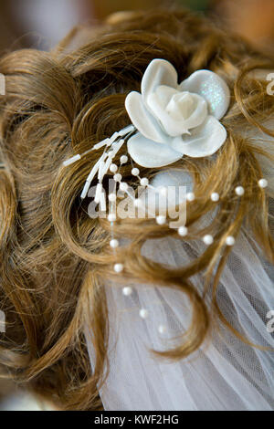 Bride hair with flower and veil, back view Stock Photo