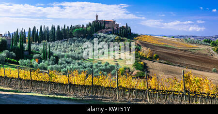 Impressive Banfi castle,view with vineyards and cypresses,Tuscany,Italy