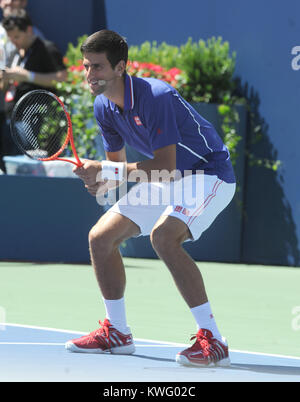 FLUSHING, NY - AUGUST 24:  Novak Djokovic attends Arthur Ash kids day at Arthur Ashe Stadium for the 2013 US Open at  the USTA Billie Jean King National Tennis Center on August 24, 2013 in the Flushing neighborhood of the Queens borough of New York City.   People:  Novak Djokovic Stock Photo