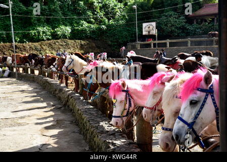 BAGUIO CITY, PHILIPPINES, DECEMBER 14, 2017, Baguio City Sightseeing, the summer Capital of Philippines Stock Photo