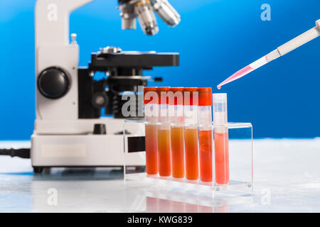 Identification of pathogenic microbes and viruses Stock Photo