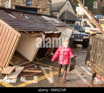 Newquay, UK. 03rd Jan, 2018. Storm Eleanor fishermen and family salvage gear from the wreckage. 80 mph gusts of wind destroyed a booking office and damaged catamarans and scores of small craft scattered about the Quay. Historic training gig boat Lady Jane had a large rib craft blown on to it. Newquay Harbour.3rd January, 2018 Credit: Robert Taylor/Alamy Live News Stock Photo