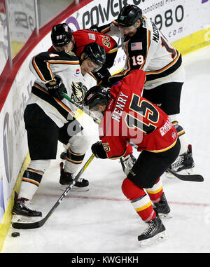 Moline, Iowa, USA. 8th Nov, 2017. Quad-City Mallard's Ales Sova and Adirondack's James Henry battle for control of the puck, Wednesday, November 8, 2017, during first period action at the TaxSlayer Center in Moline. Credit: John Schultz/Quad-City Times/ZUMA Wire/Alamy Live News Stock Photo