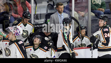 Moline, Iowa, USA. 8th Nov, 2017. Mallards assistant coach Michael Leone during a time out, Wednesday, November 8, 2017, in first period at the TaxSlayer Center in Moline. Credit: John Schultz/Quad-City Times/ZUMA Wire/Alamy Live News Stock Photo