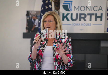 Davenport, Iowa, USA. 20th Aug, 2017. Gubernatorial candidate Andy McGuire speaks at the Duck Creek Lodge in Davenport on Sunday, August 20, 2017. Scott County Democrats held their summer picnic with four candidates for Iowa governor in attendance. Credit: Andy Abeyta, Quad-City Times/Quad-City Times/ZUMA Wire/Alamy Live News Stock Photo