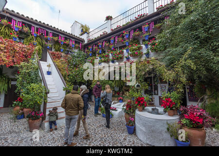 Cordoba, Spain.  A typical patio decorated with plants. Stock Photo