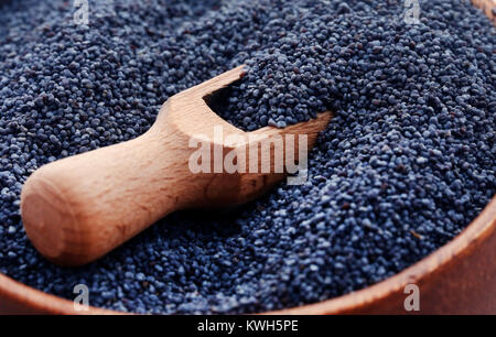 Poppy seeds in a bowl with scoop Stock Photo