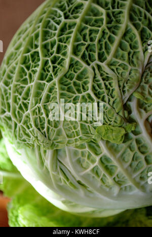 cabbage natural wrinkles on the skin Stock Photo