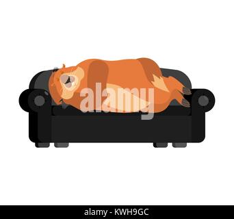Groundhog sleeping on couch. Woodchuck asleep on bed. Marmot dormant. Groundhog day Vector illustration Stock Vector
