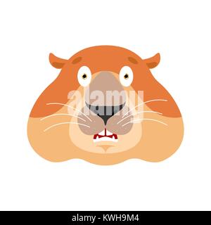 Groundhog scared OMG. Woodchuck Oh my God emoji. Frightened Marmot. Groundhog day Vector illustration Stock Vector