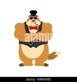 Groundhog day. Groundhog in hat Strong Cool serious. Woodchuck smoking cigar. Marmot strict. Vector illustration Stock Vector