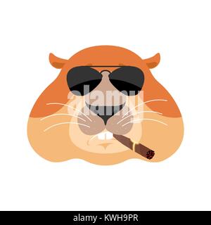Groundhog Cool serious avatar of emotions. Woodchuck smoking cigar emoji. Marmot strict. Groundhog day Vector illustration Stock Vector