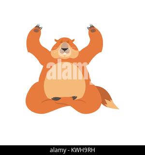 Groundhog yoga. Woodchuck yogi isolated. Marmot Relaxation and meditation. Groundhog day Vector illustration Stock Vector