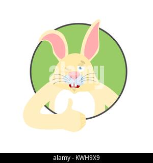 Rabbit thumbs up and winks. Hare happy emoji. Animal Vector illustration Stock Vector