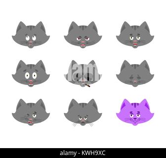Cat set emoji avatar. sad and angry face. guilty and sleeping. Pet sleeping emotion face. Kitty Eggplant. Vector illustration Stock Vector