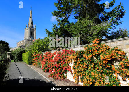 Autumn colours, St Andrews church, Billingborough village, Lincolnshire; England; UK Stock Photo