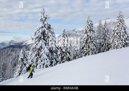 Young boy in yellow winter jacket hiking uphill in fresh snow among frozen spruces, Krvavec, Slovenia. Stock Photo