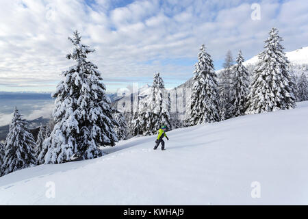 Young boy in yellow winter jacket hiking uphill in fresh snow among frozen spruces, Krvavec, Slovenia. Stock Photo