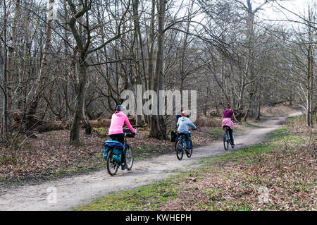 Family cycling through woods at Cobham in Kent. Stock Photo