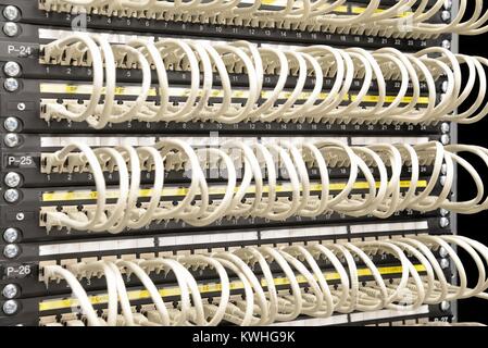 Network cables connected to switch Stock Photo