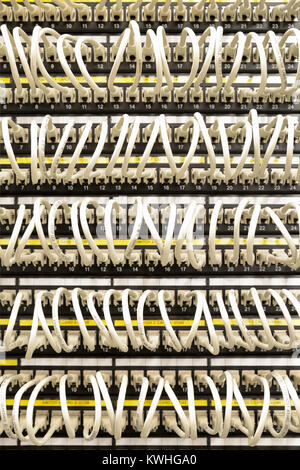 Network cables connected to switch Stock Photo