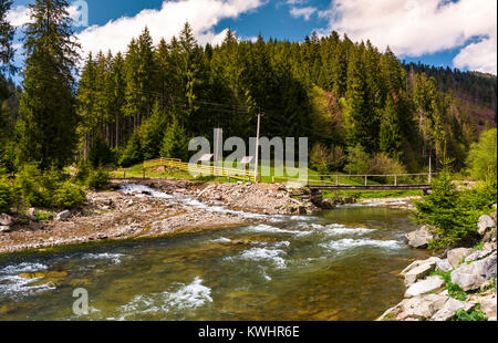 mountain river in springtime. beautiful scenery with spruce forest on a  rocky shore. camping place and wooden bridge in the distance Stock Photo -  Alamy