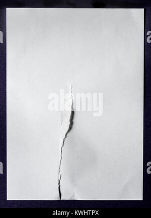 White sheet of paper with a tear, Damaged sheet paper. Stock Photo