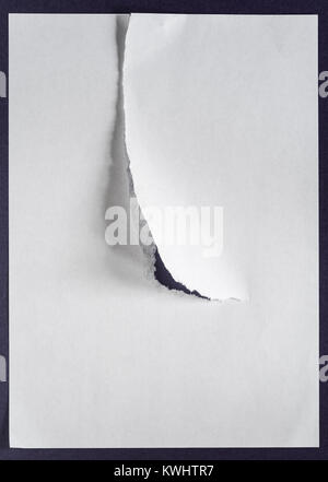 White sheet of paper with a tear, Damaged sheet paper. Stock Photo