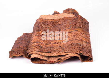 snake skin over a white background Stock Photo