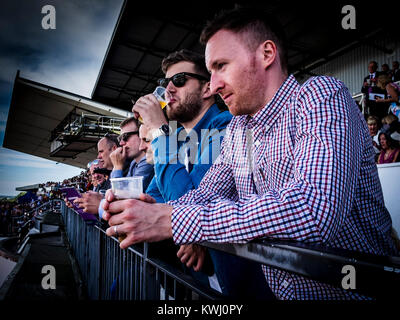 Men watch the horse racing from the main stand of Beverley Racecourse Stock Photo