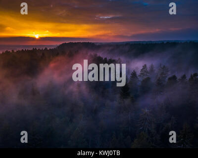 Aerial view at a sunrise with mist and treetops Stock Photo - Alamy