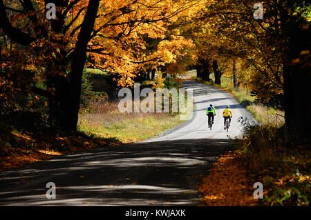 Mountain biking through fall colors, autumn colors, colorful fall foliage on dirt roads, Albany, Vermont, New England, USA. Stock Photo