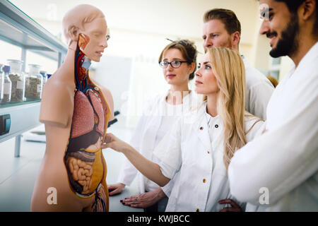 Students of medicine examining anatomical model Stock Photo