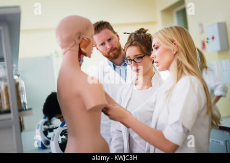 Students of medicine examining anatomical model Stock Photo