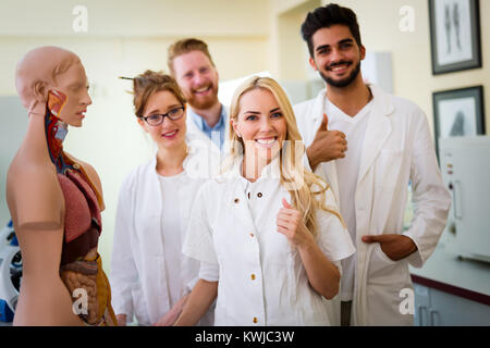 Students of medicine examining anatomical model Stock Photo