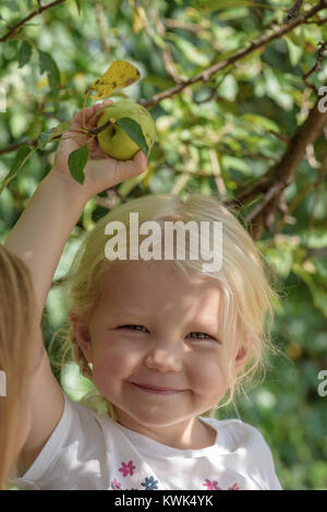 Happy little girl apple picking with family in fall Stock Photo