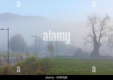 Trees in the morning fog near Oviedo, Asturias, Spain Stock Photo