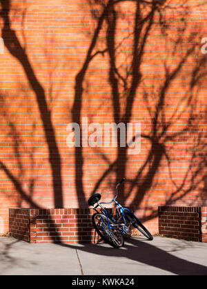 Winter sunlight casts tree shadows on bicycle and brick building Stock Photo