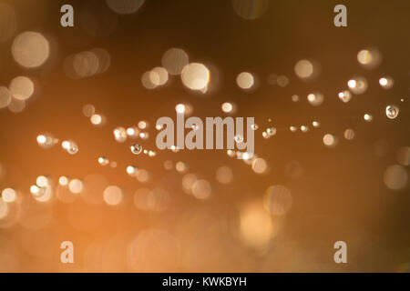 Abstract of dewdrops on a spider web with selected focus Stock Photo